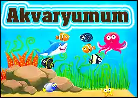 Akvaryumum