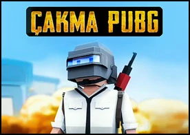 Çakma Pubg