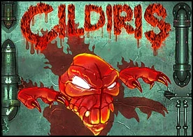 Çıldırış