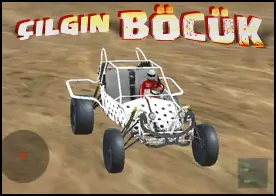 Çılgın Böcük