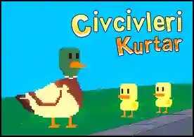 Civcivleri Kurtar