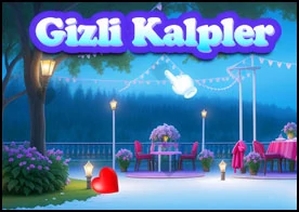 Gizli Kalpler