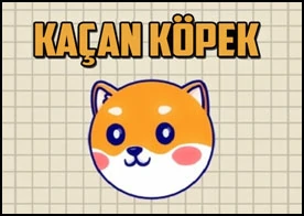 Kaçan Köpek