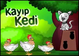 Kayıp Kedi