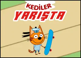 Kediler Yarışta