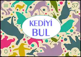 Kediyi Bul