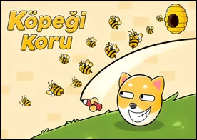 Köpeği Koru