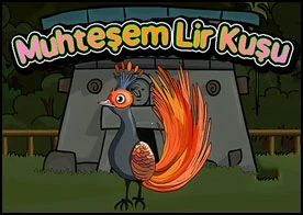 Muhteşem Lir Kuşu