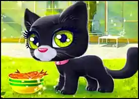 Mutlu Kedi