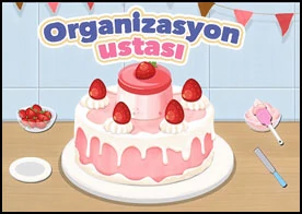 Organizasyon Ustası