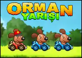 Orman Yarışı