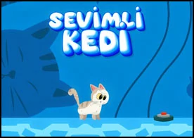 Sevimli Kedi