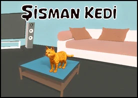 Şişman Kedi