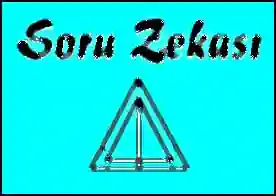 Soru Zekası