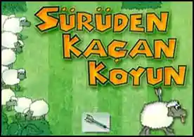 Sürüden Kaçan Koyun