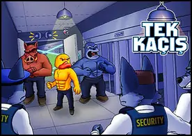 Tek Kaçış