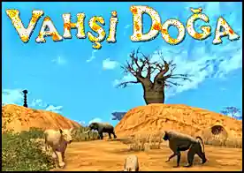 Vahşi Doğa